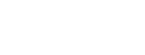 NSM Website Logo